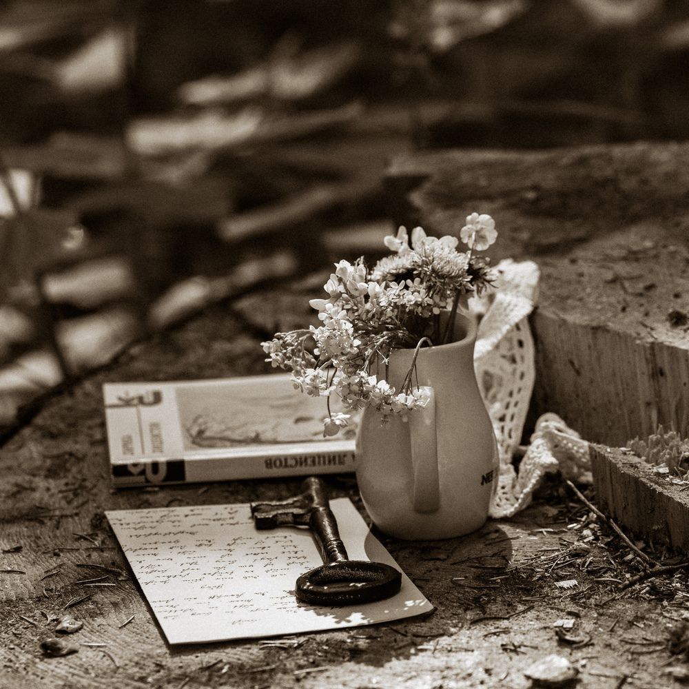 Photograph by Ксения Шилина