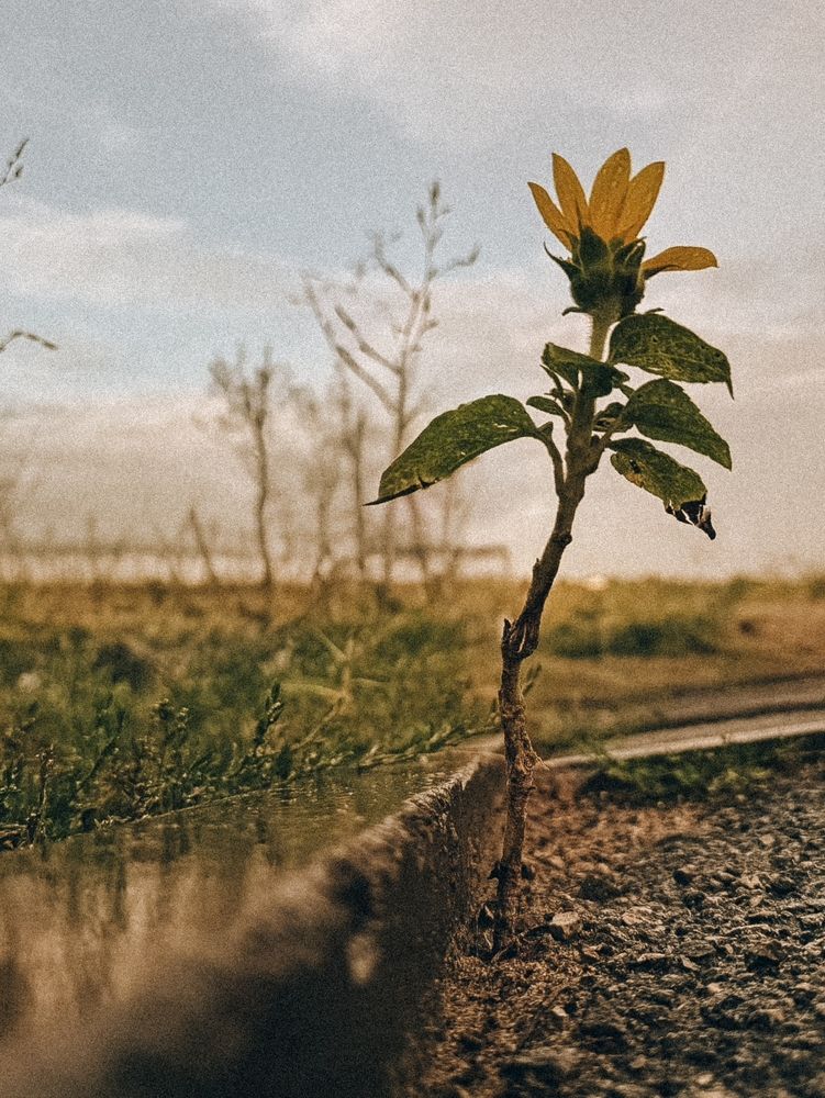Photograph by Татьяна Цапкова