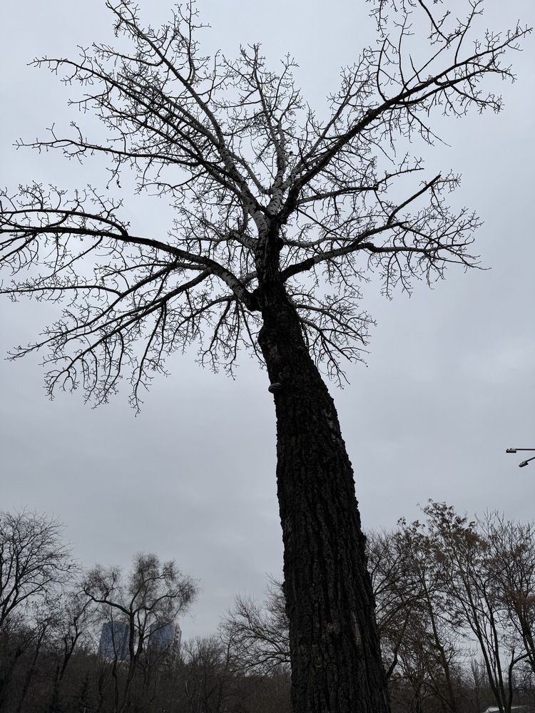 Photograph by Сергей Смирнов