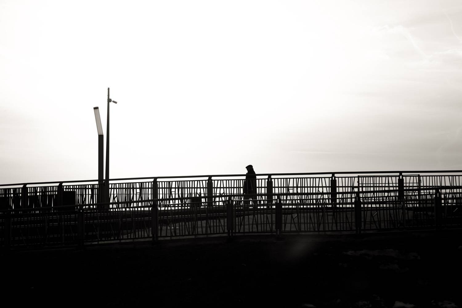 Photo #13677553