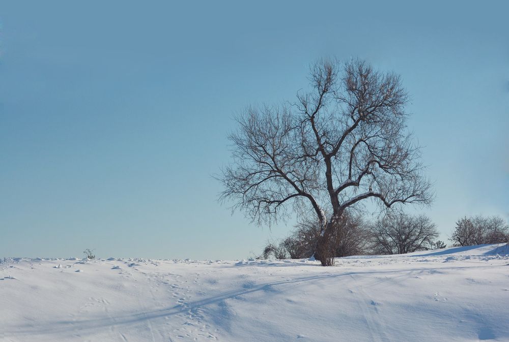 Photograph by Римма Волченко