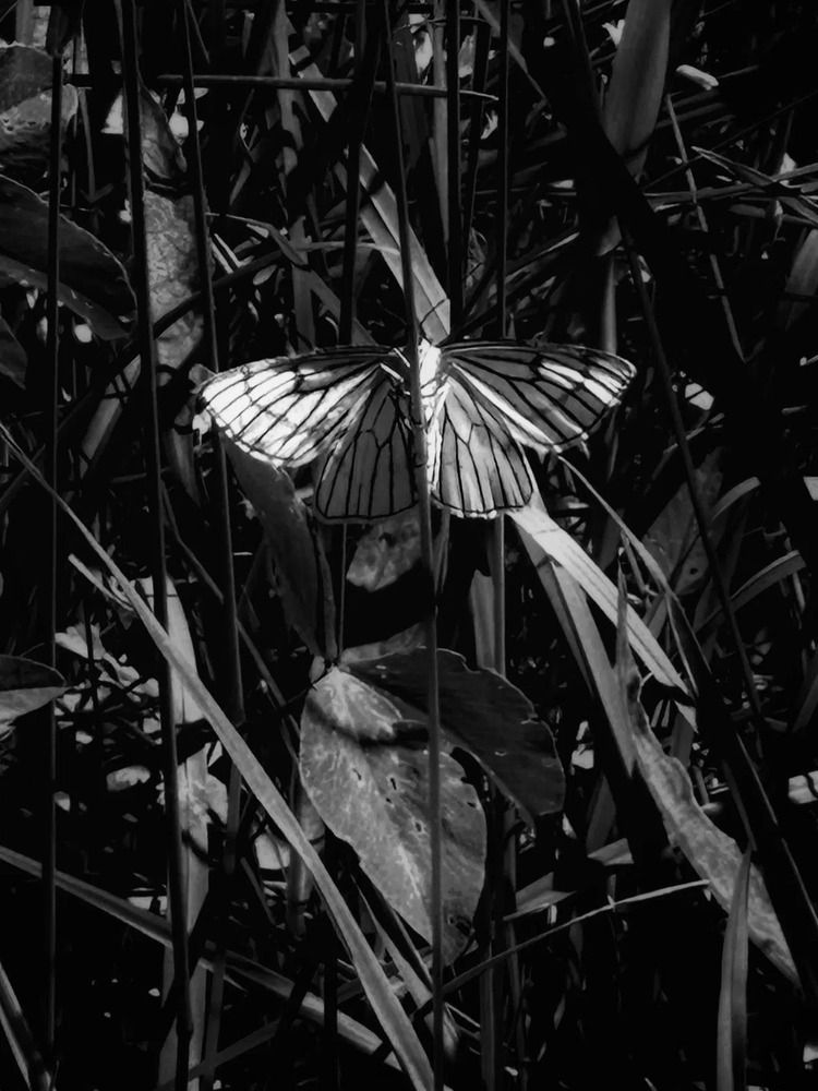 Photograph by Екатерина Козлова