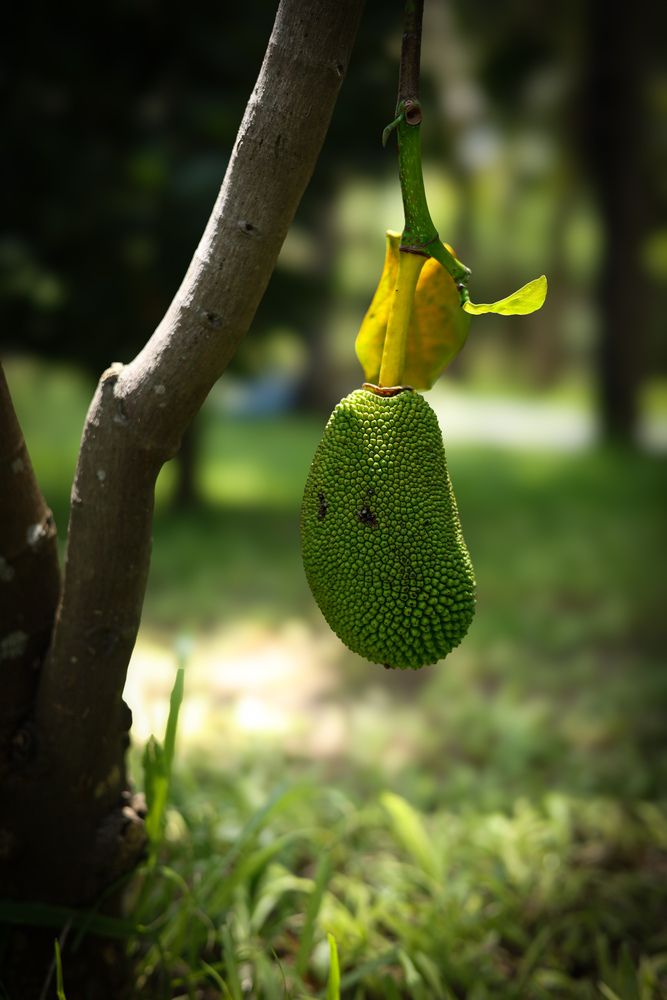 Photograph by Nikolay Nikolay