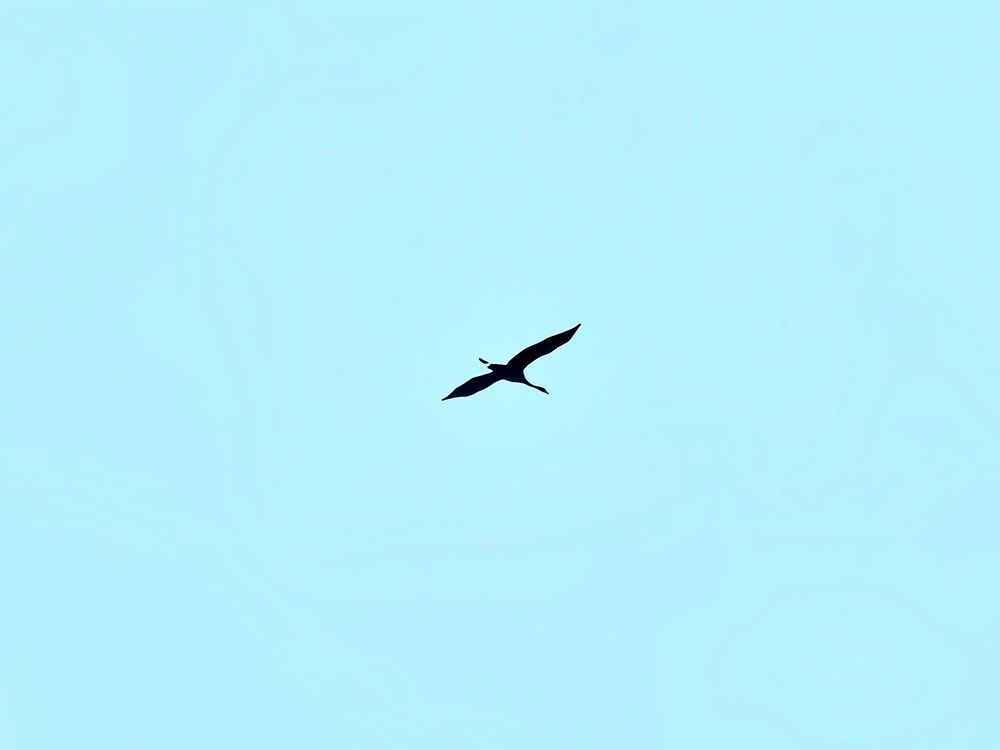 Photograph by Светлана Кустова