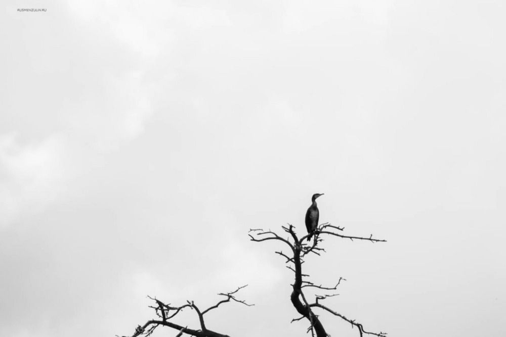 Photograph by Екатерина Козлова