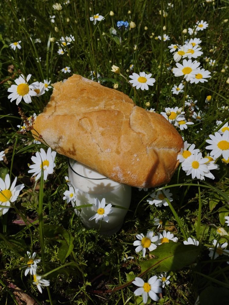Photograph by Ия Дирко