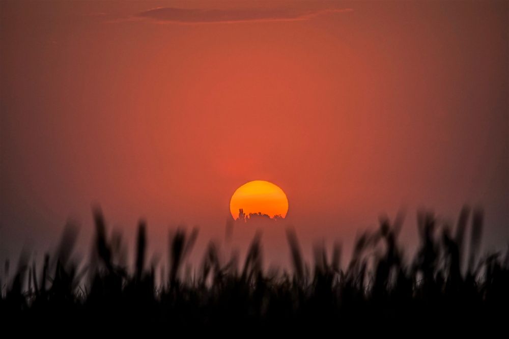 Photograph by Алексей Сиваков