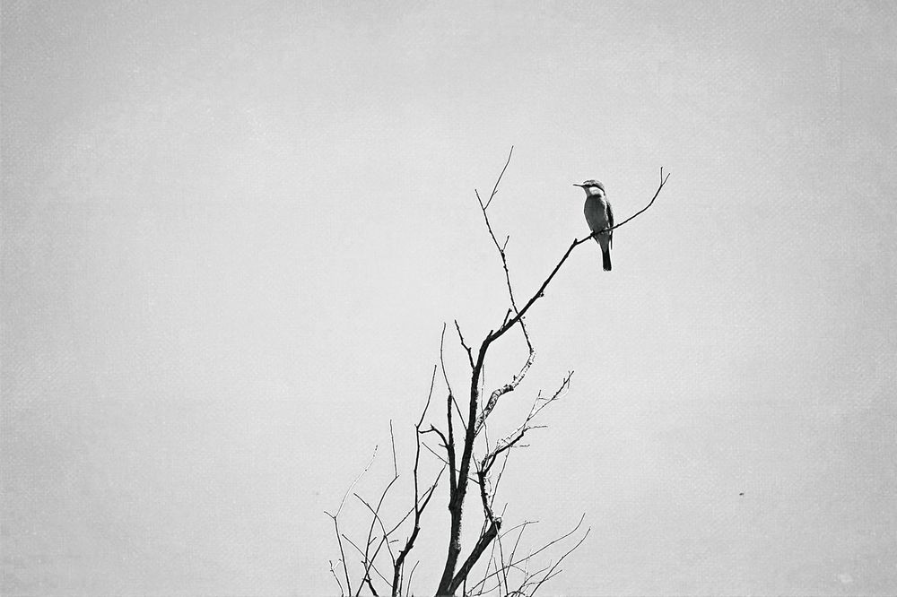 Photograph by Szilvia Farkas