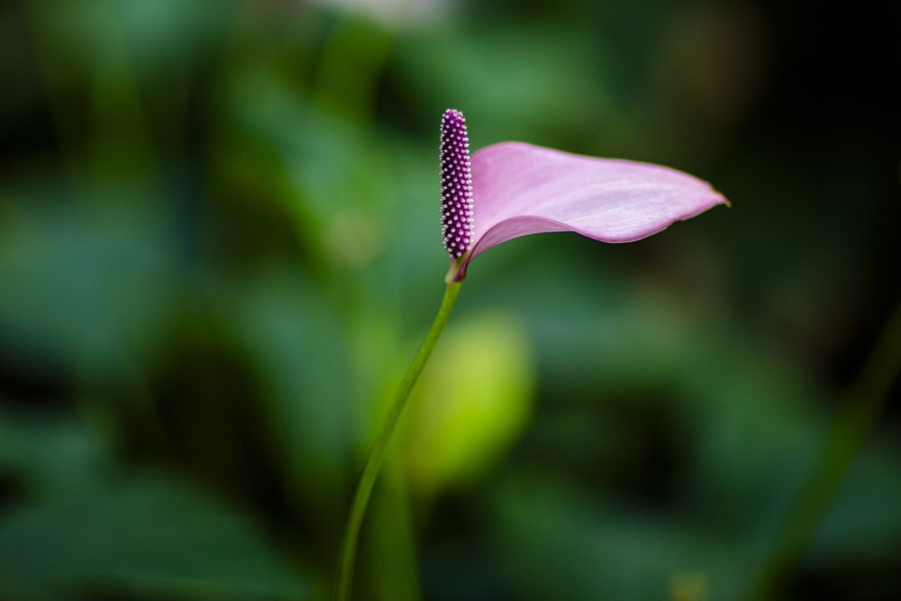 Photograph by Геннадий