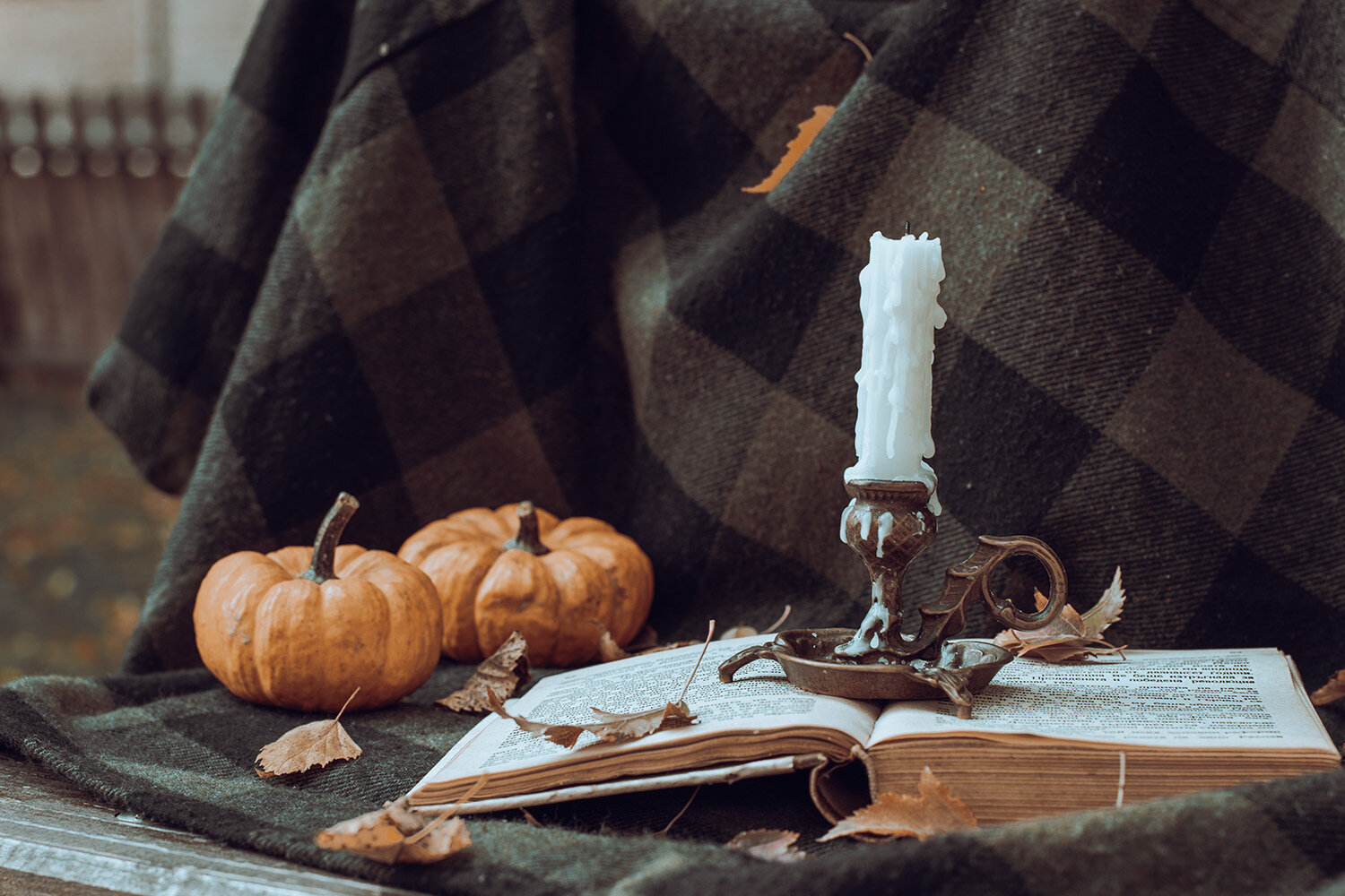 Photo #13677820