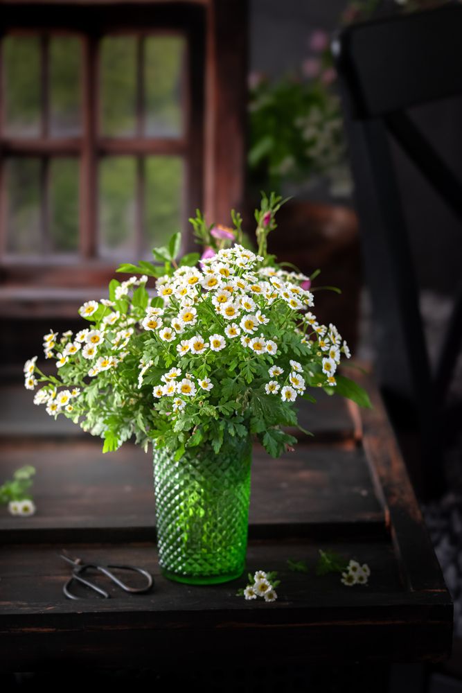 Still life photography