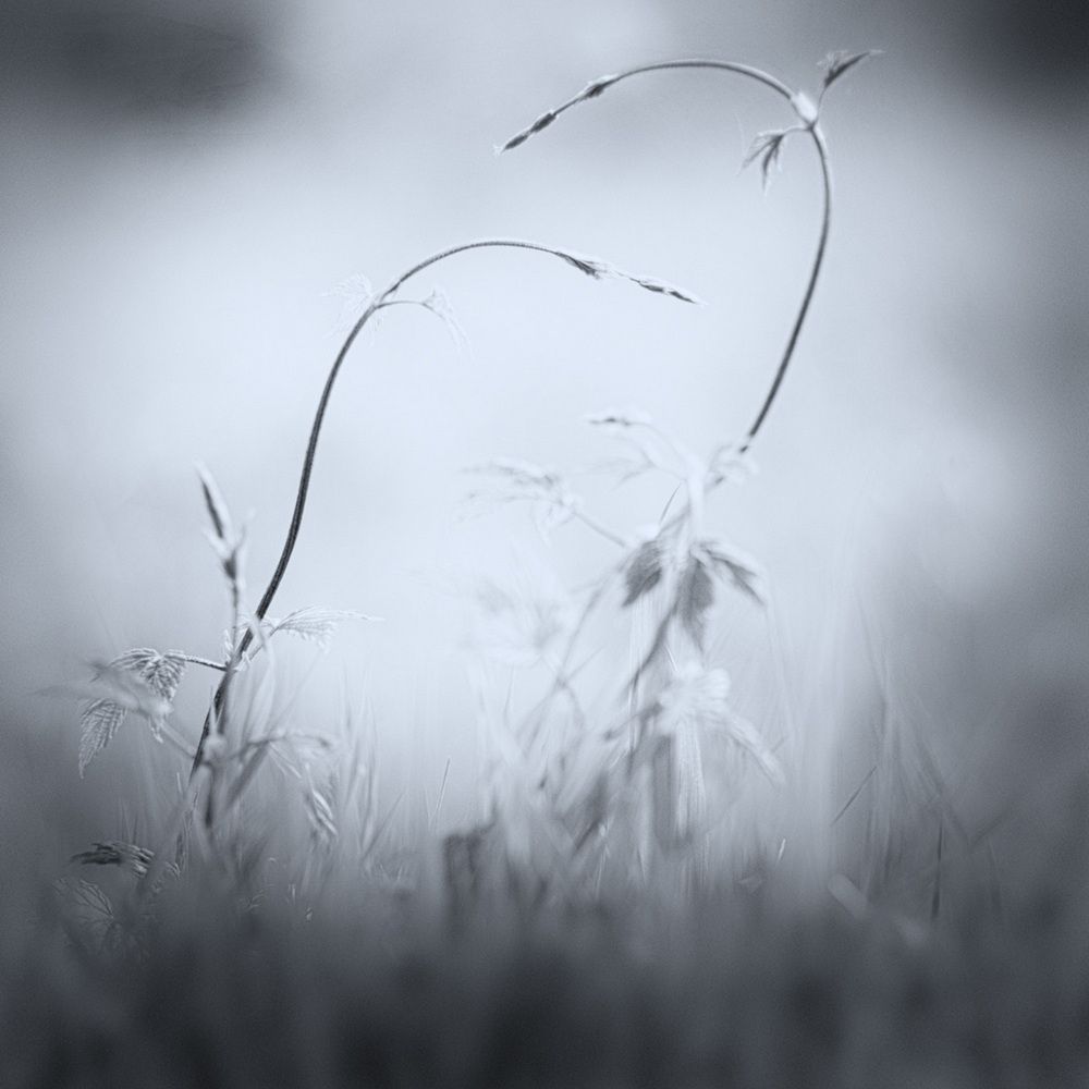 Photograph by Олег Красиков