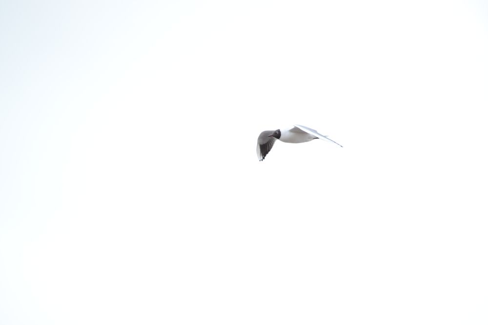 Photograph by Игорь Блинов