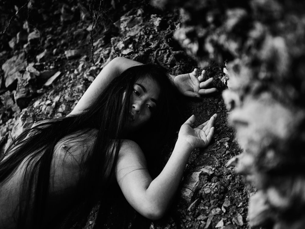 Фотография автора Lino Zanesco