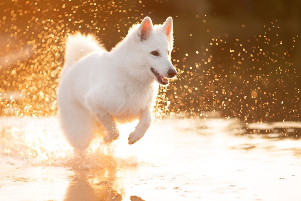 Photograph by Евгения Костусева
