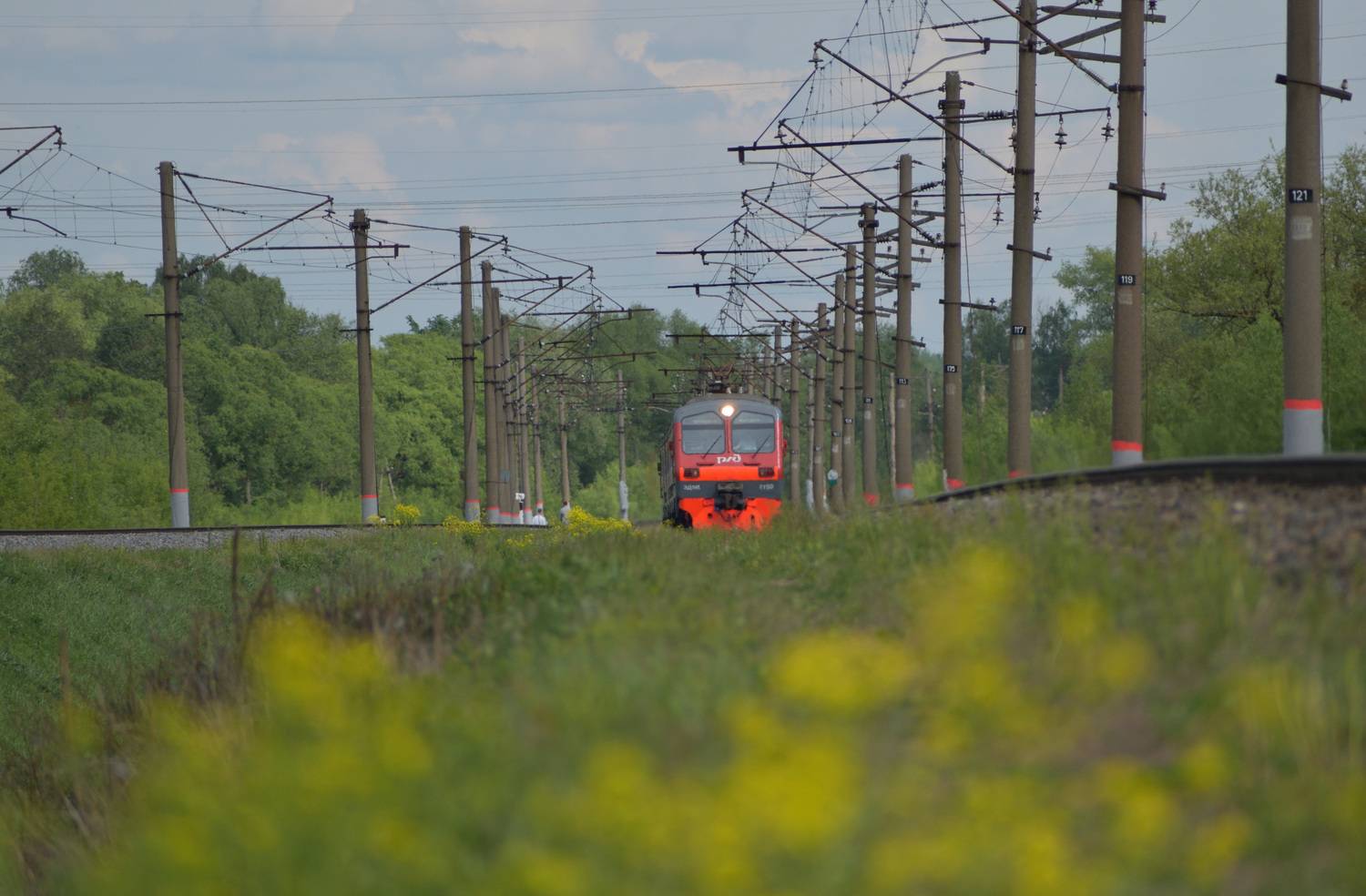Photo #13678263
