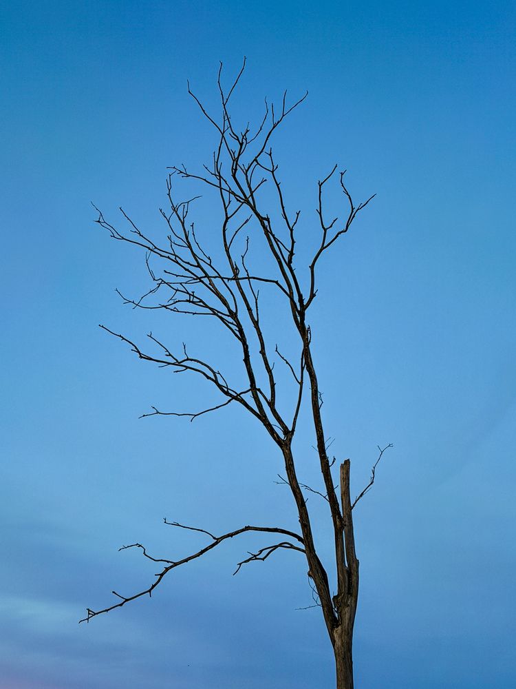Photograph by Ирина Куренкова