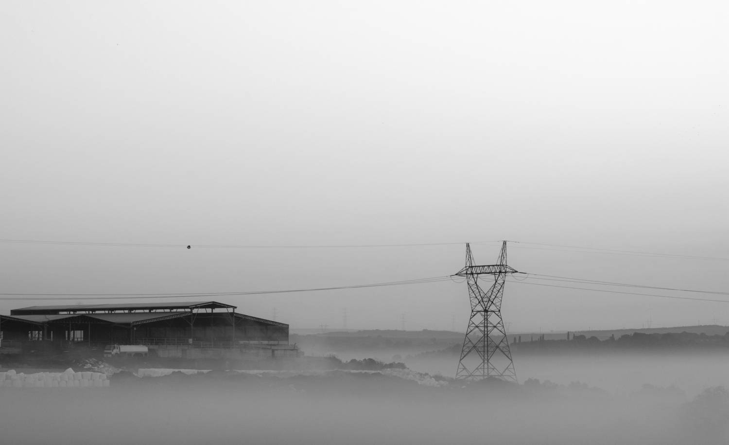 At dawn