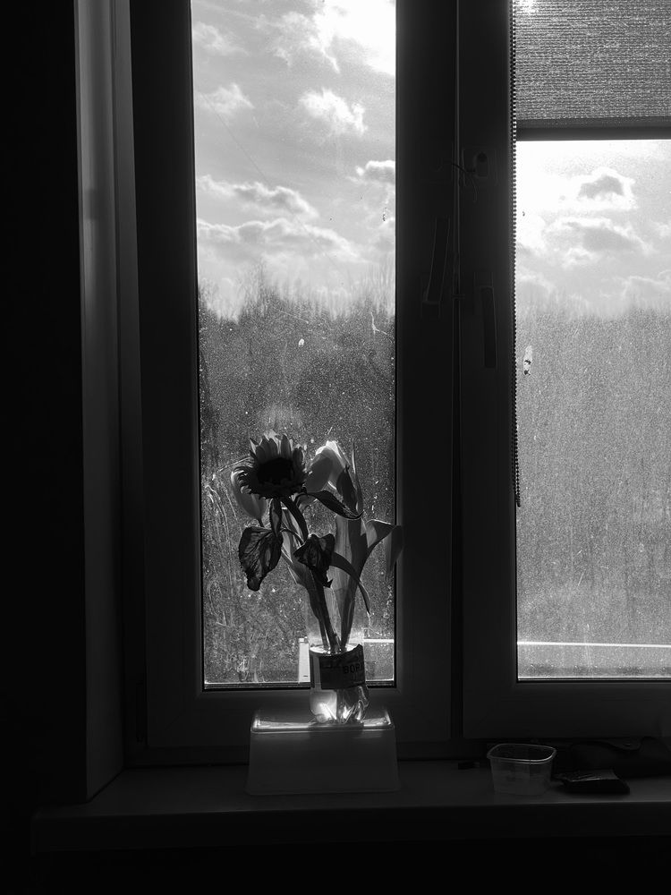 Photograph by Tatiana Kovaleva