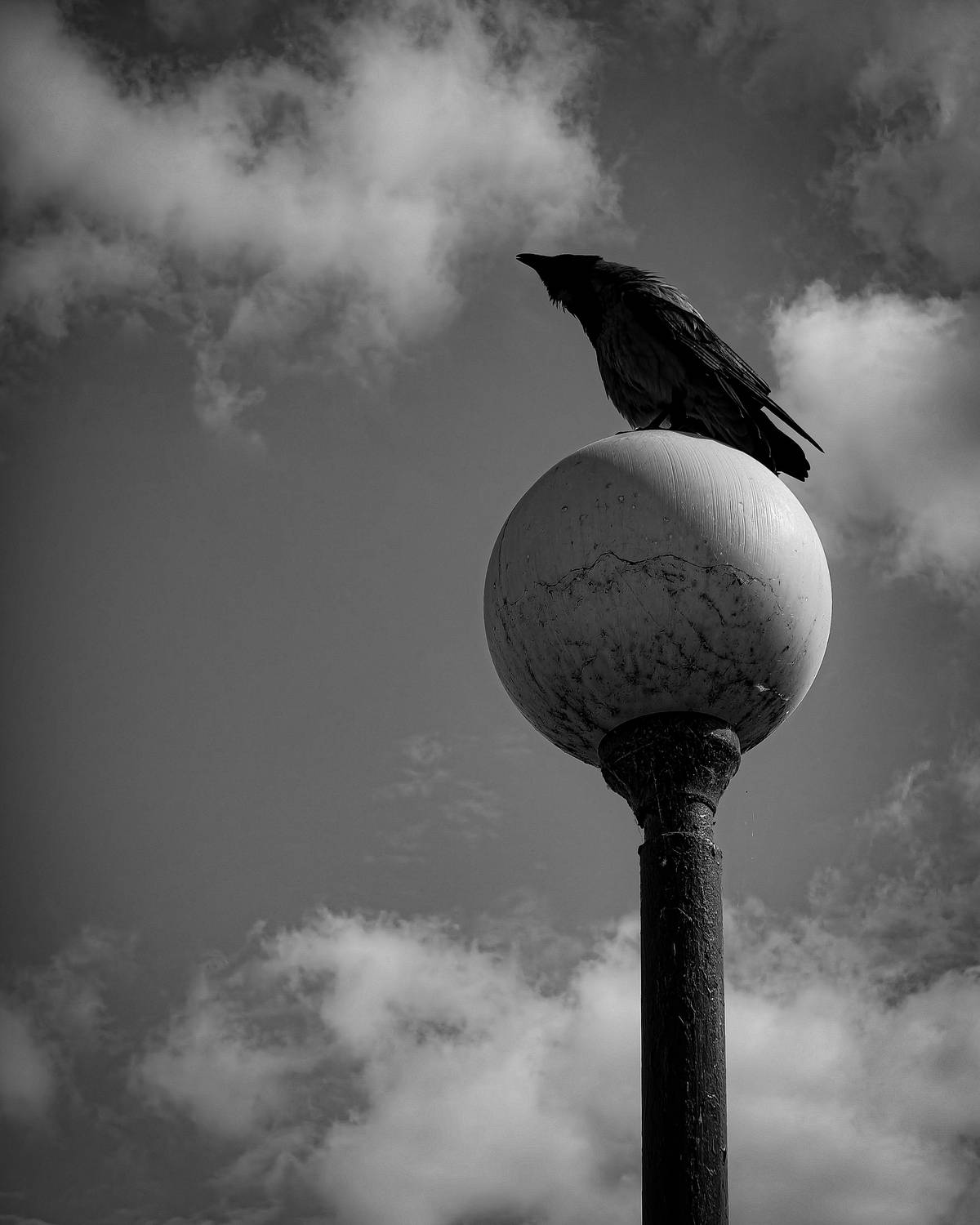The Sentinel