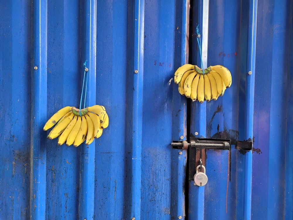 Photograph by Dipu chakraborty