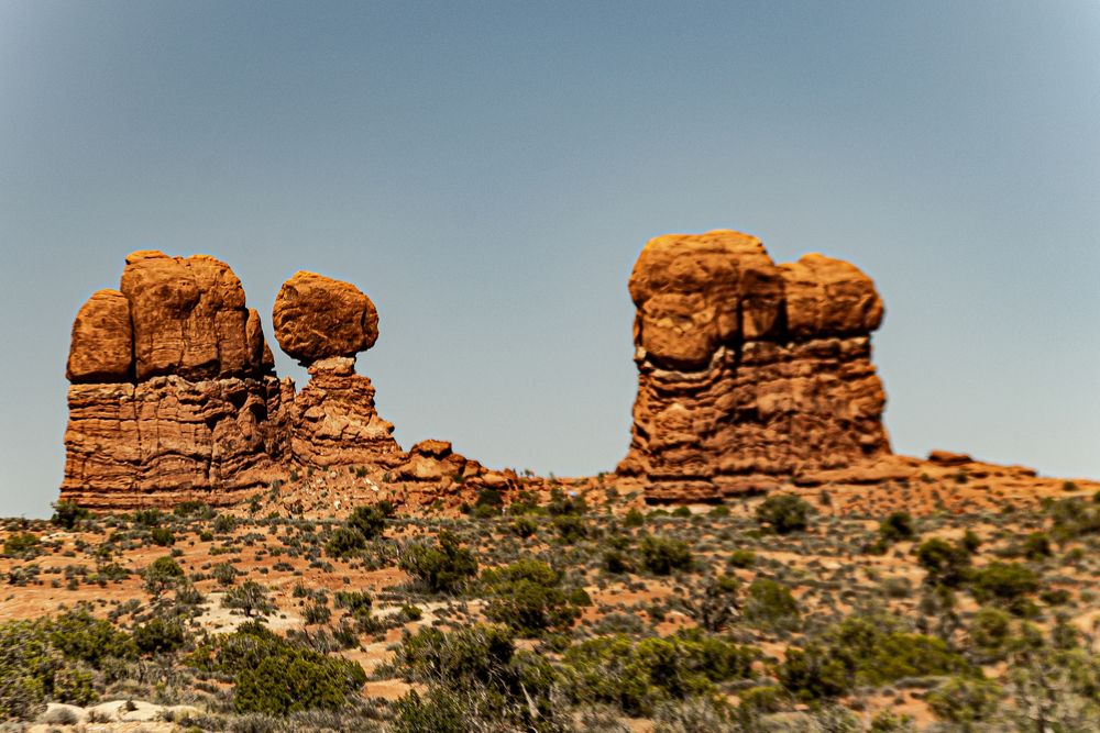 Photograph by Pedro Cardenas
