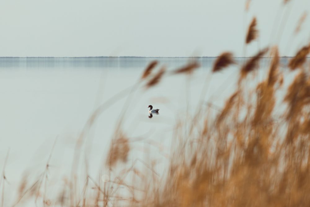 Photograph by Софья Гелевера