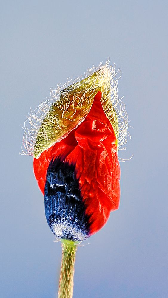 Photograph by Ольга Усова