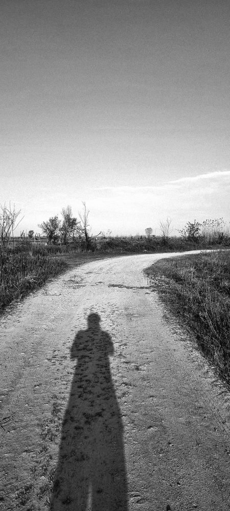 Photograph by Sam Esfahani