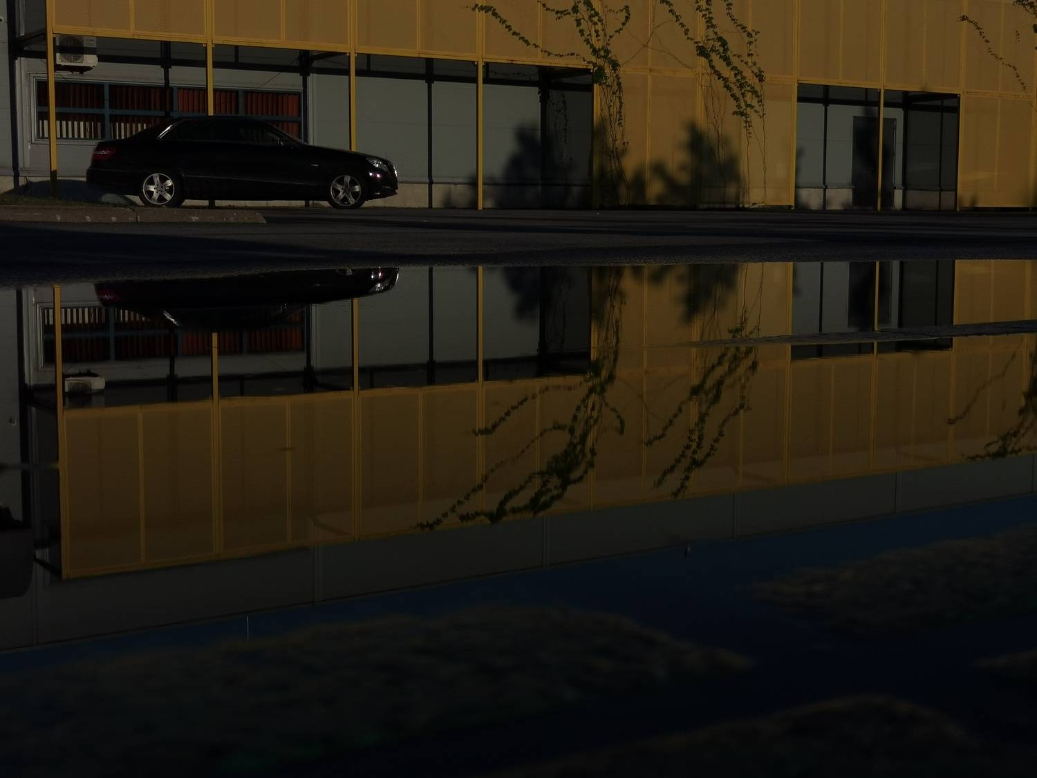 Photo #13678744