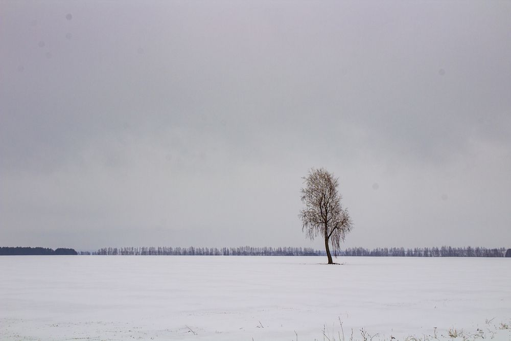 Photograph by Оксана Леонтьева