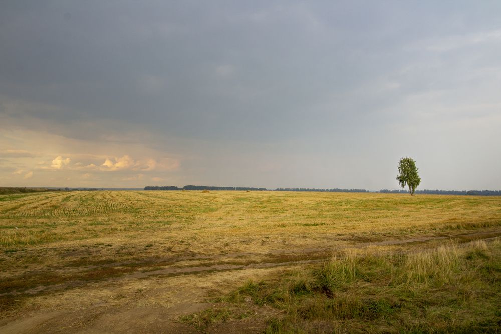 Photograph by Оксана Леонтьева