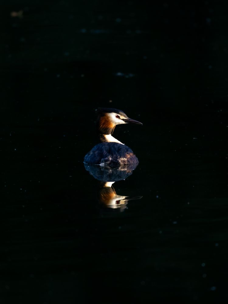 Photograph by Игорь Криулин
