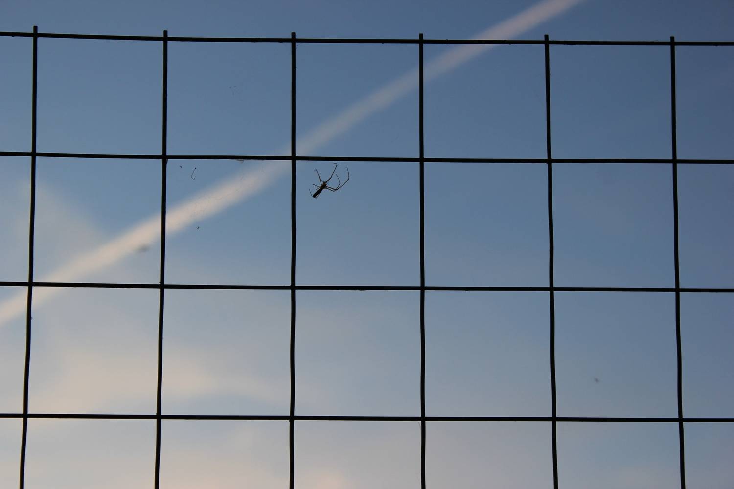 Photo #13678868