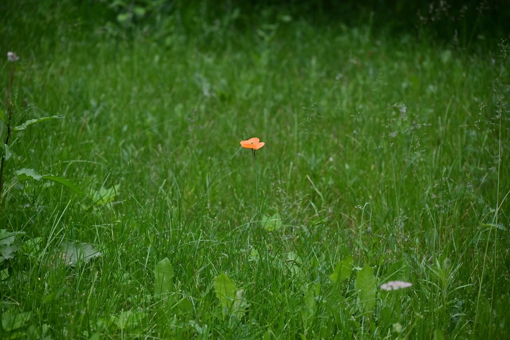 Photograph by Сергей Зубов