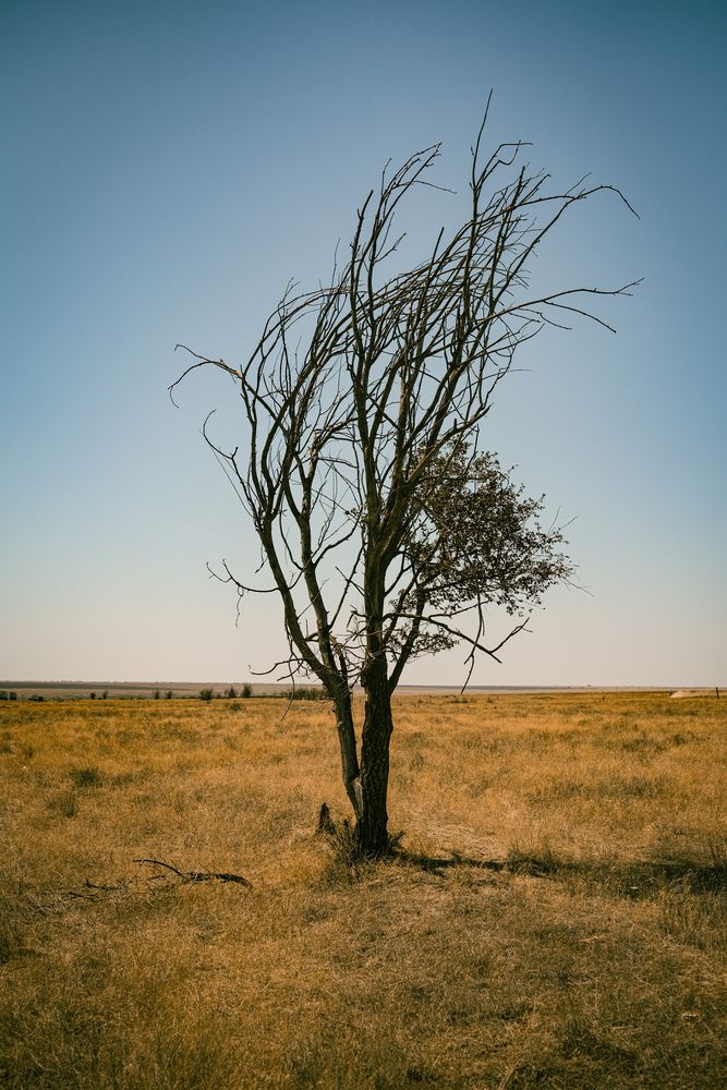 Photograph by Ивлев Александр