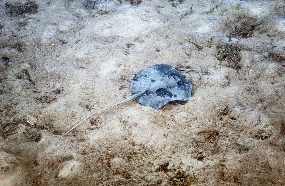 Photograph by Lija Mez