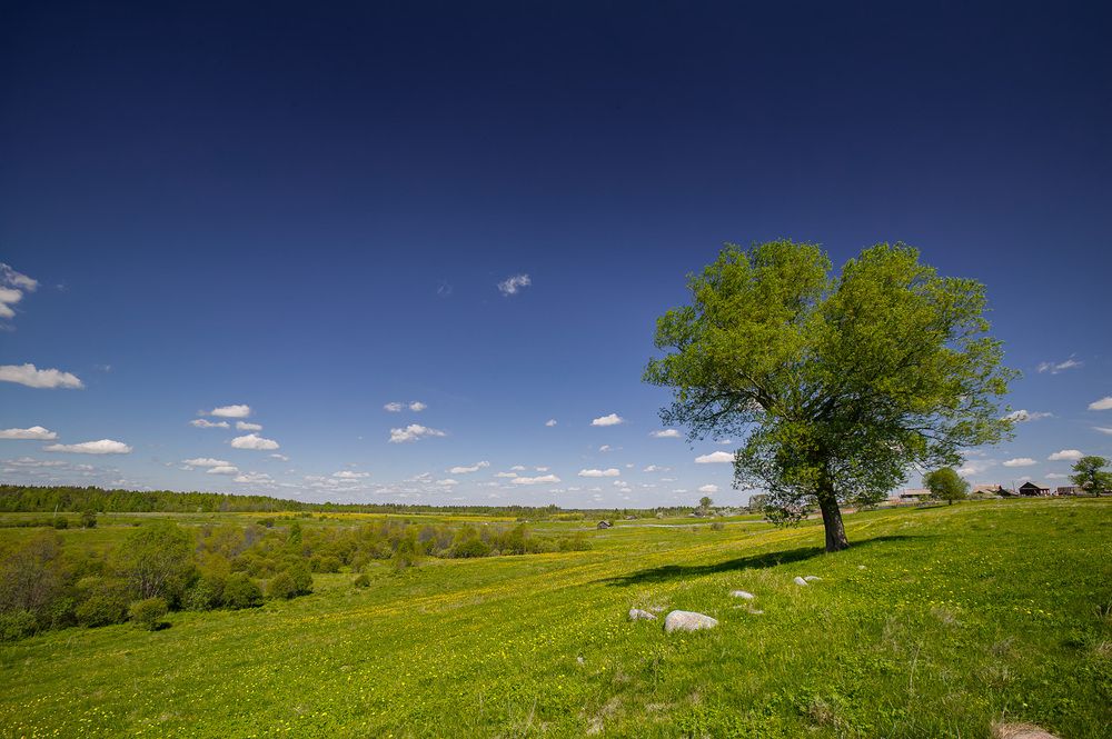 Photograph by EVGENY FADIN
