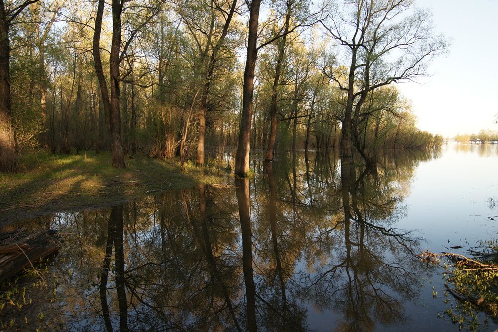 Photograph by Марина Лосева