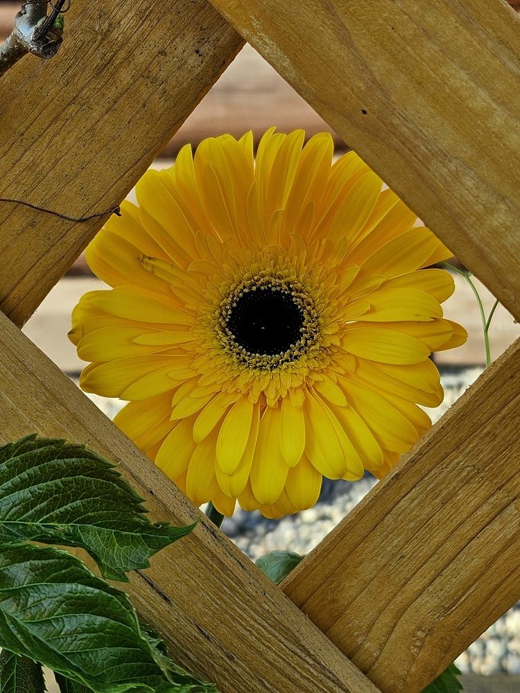 Photograph by Наталья Трефилова