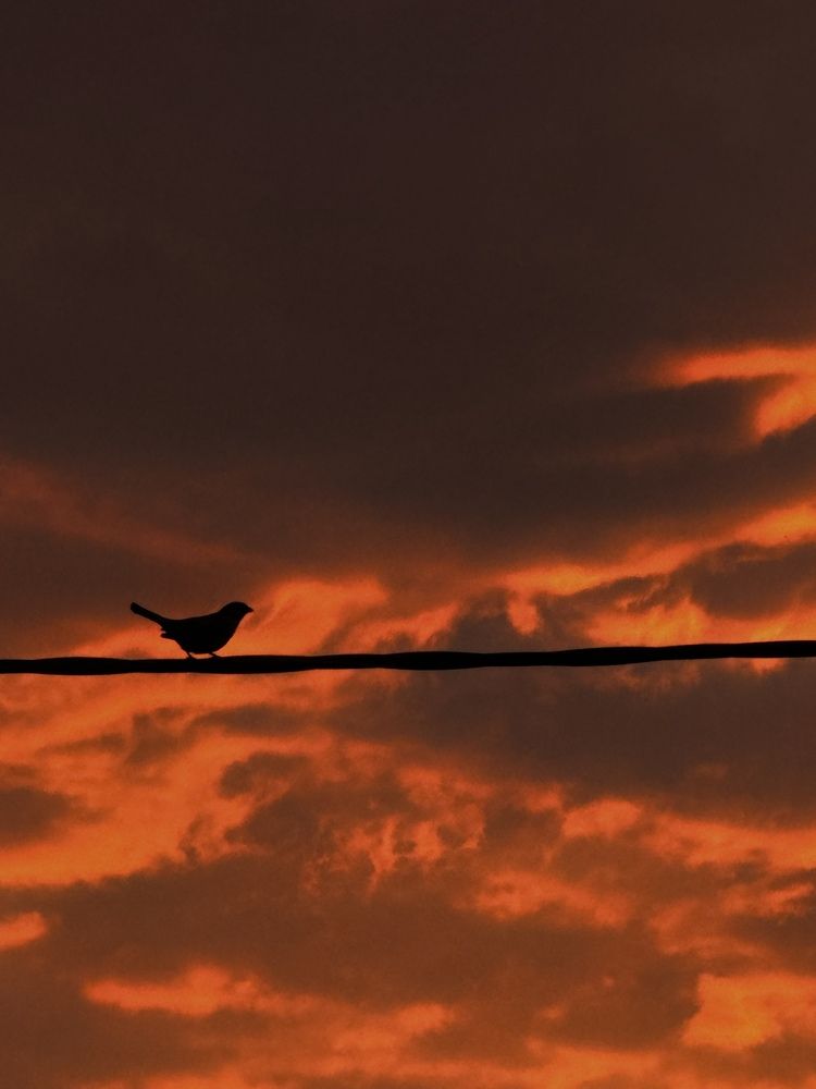 Photograph by Карима Арсамакова