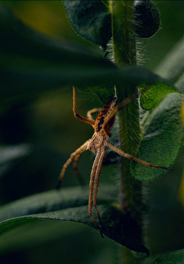 Photograph by Дмитрий Александрович