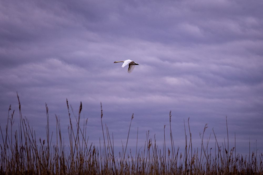 Photograph by Наталья Катюжанская