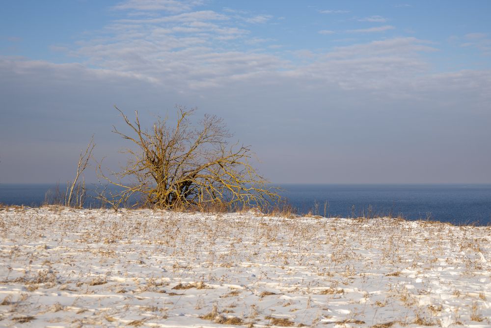 Photograph by Наталья Катюжанская