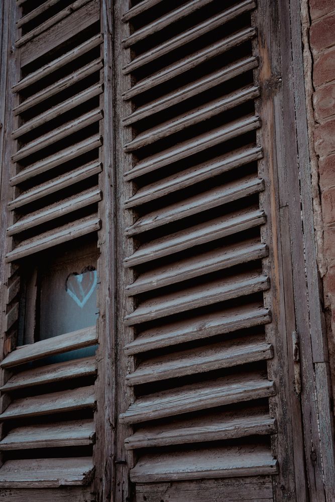 Photograph by Yanina Zvezdina