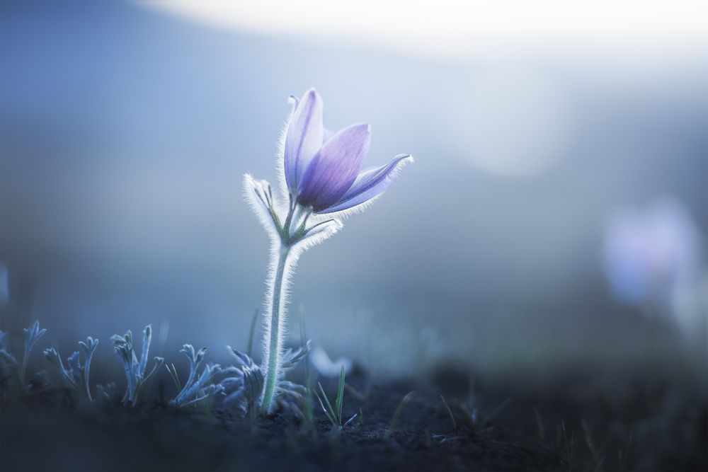 Photograph by Портных Дмитрий