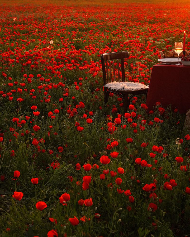 Photograph by Оксана Ковалёва