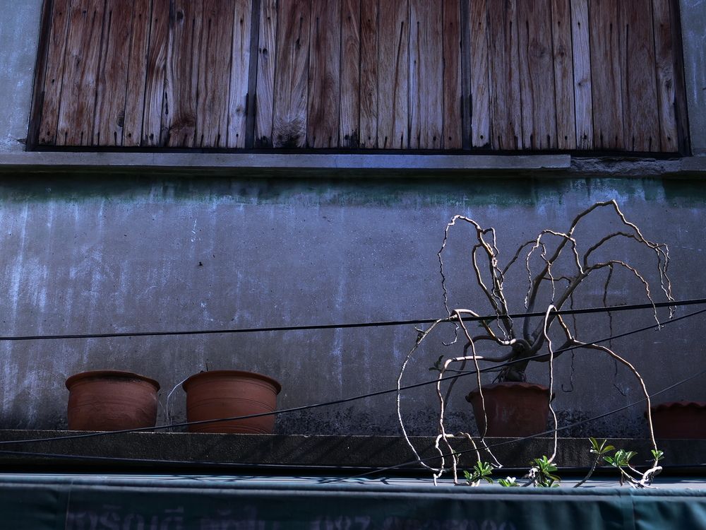 Photograph by Владимир Зубанков