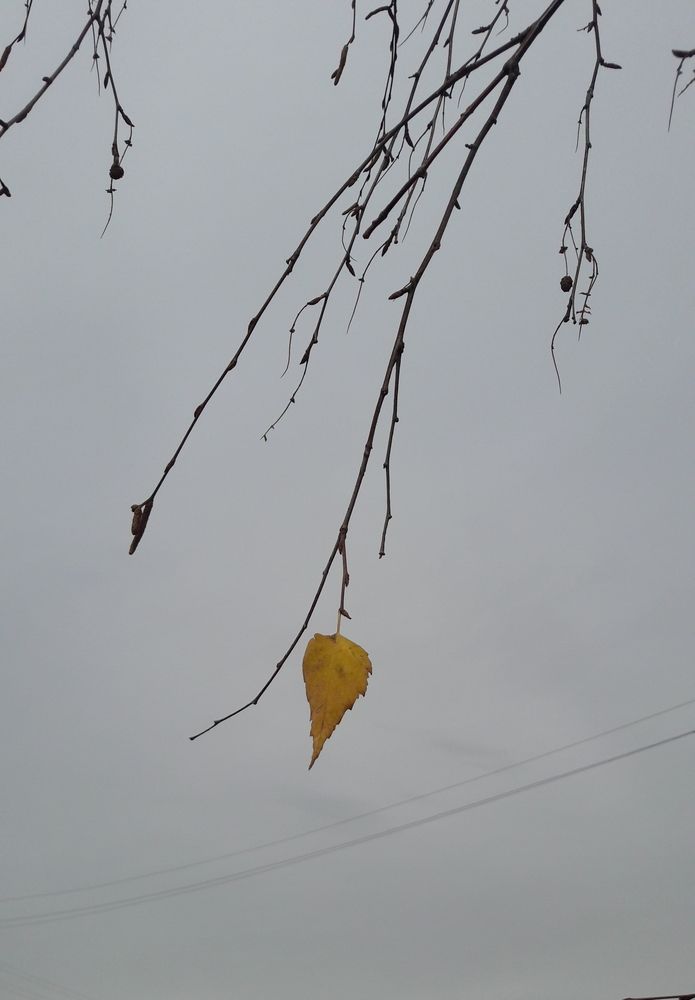 Photograph by Юлия