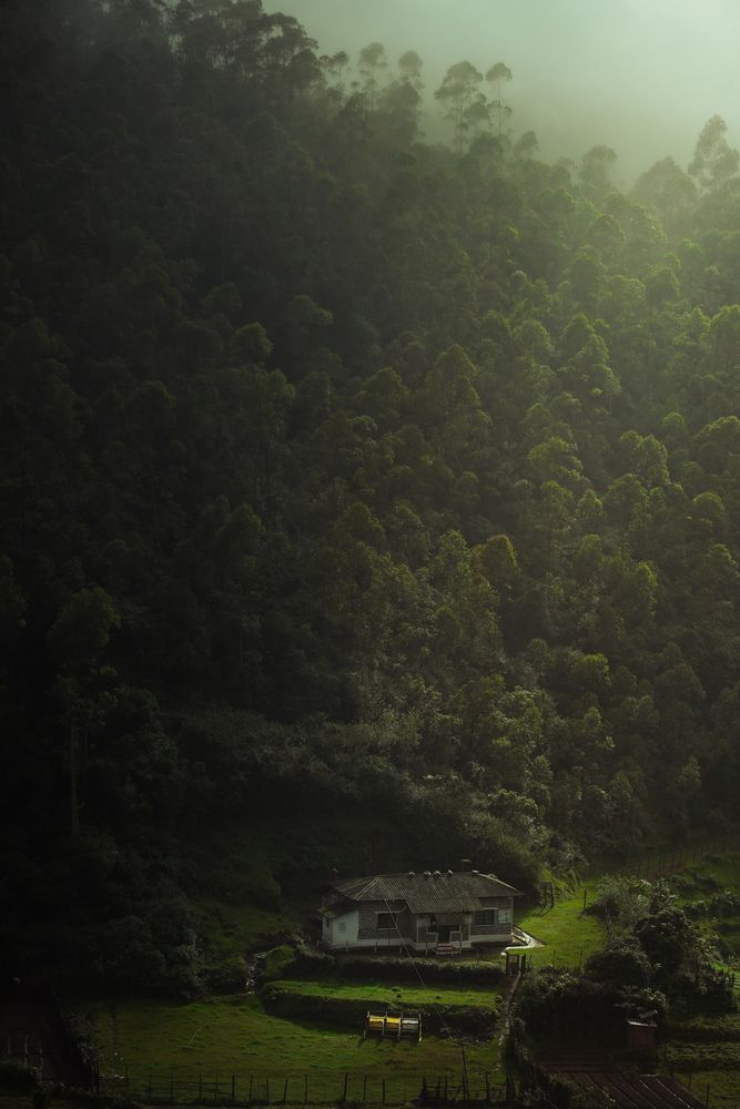Photograph by Mano